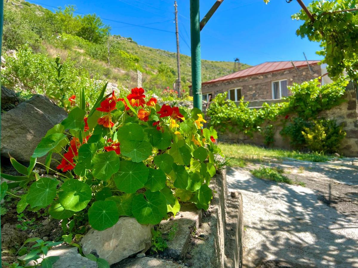 Halidzor Igor Bed And Breakfast מראה חיצוני תמונה