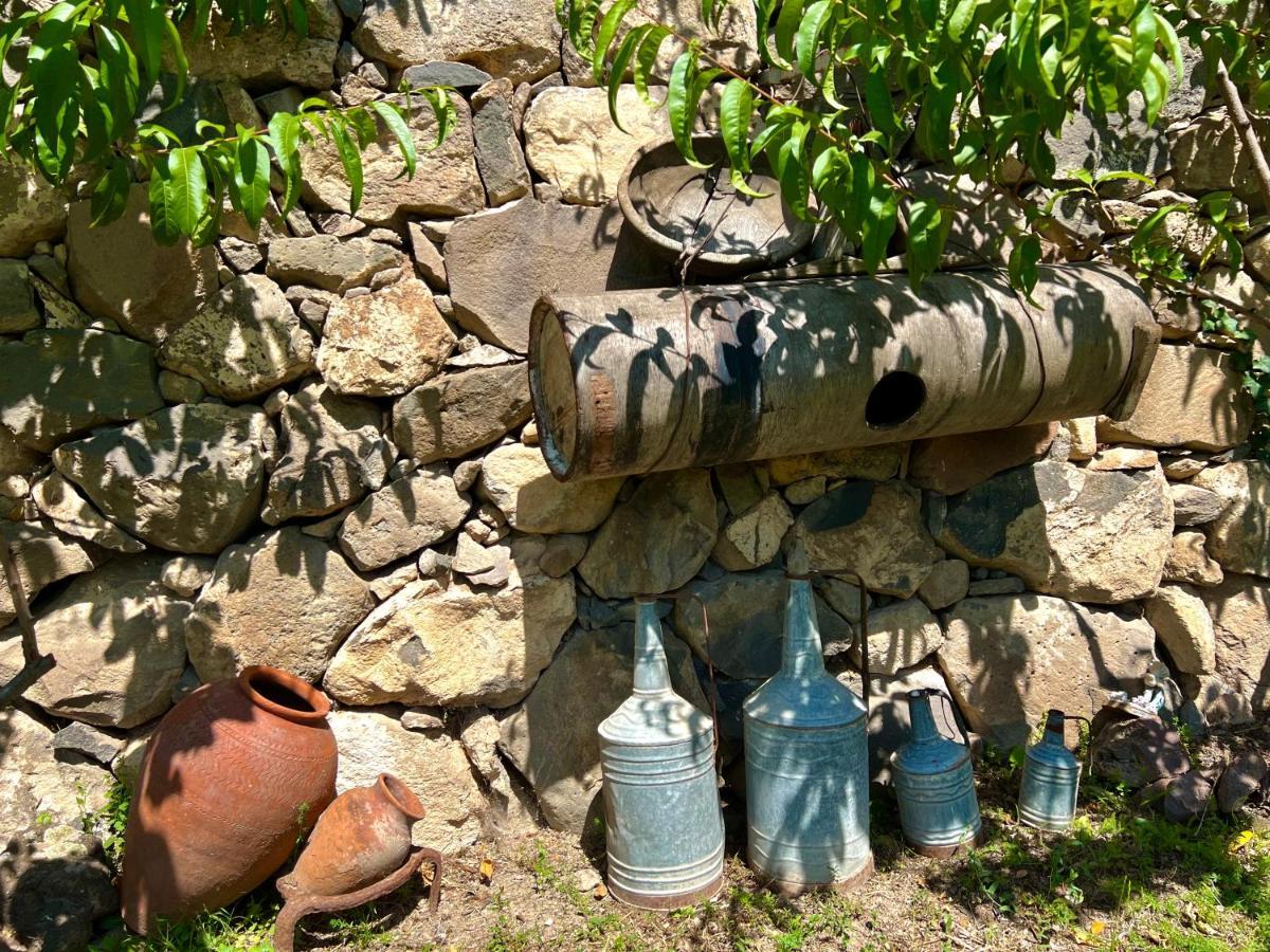 Halidzor Igor Bed And Breakfast מראה חיצוני תמונה