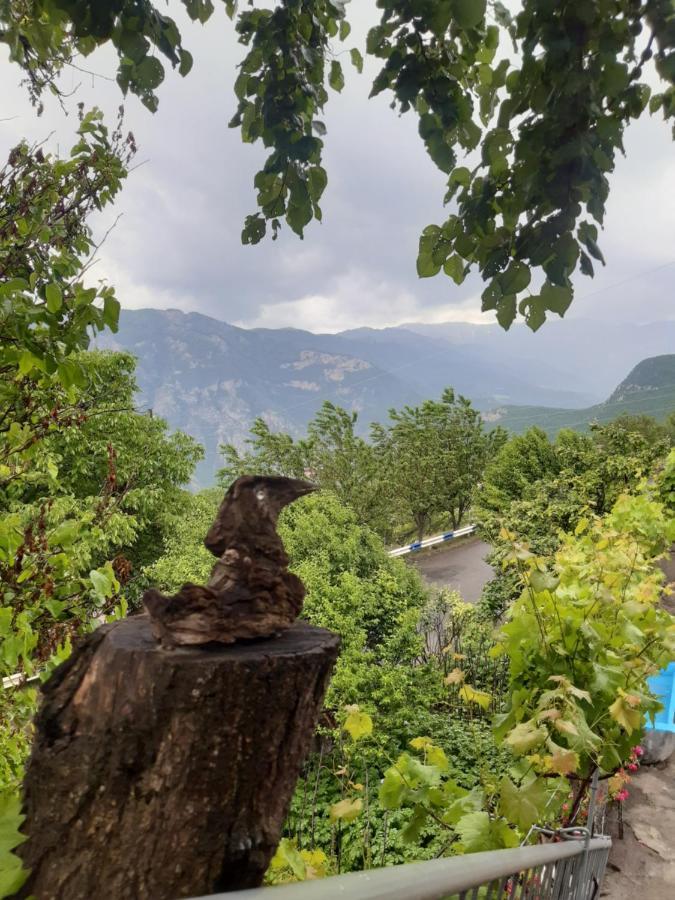 Halidzor Igor Bed And Breakfast מראה חיצוני תמונה
