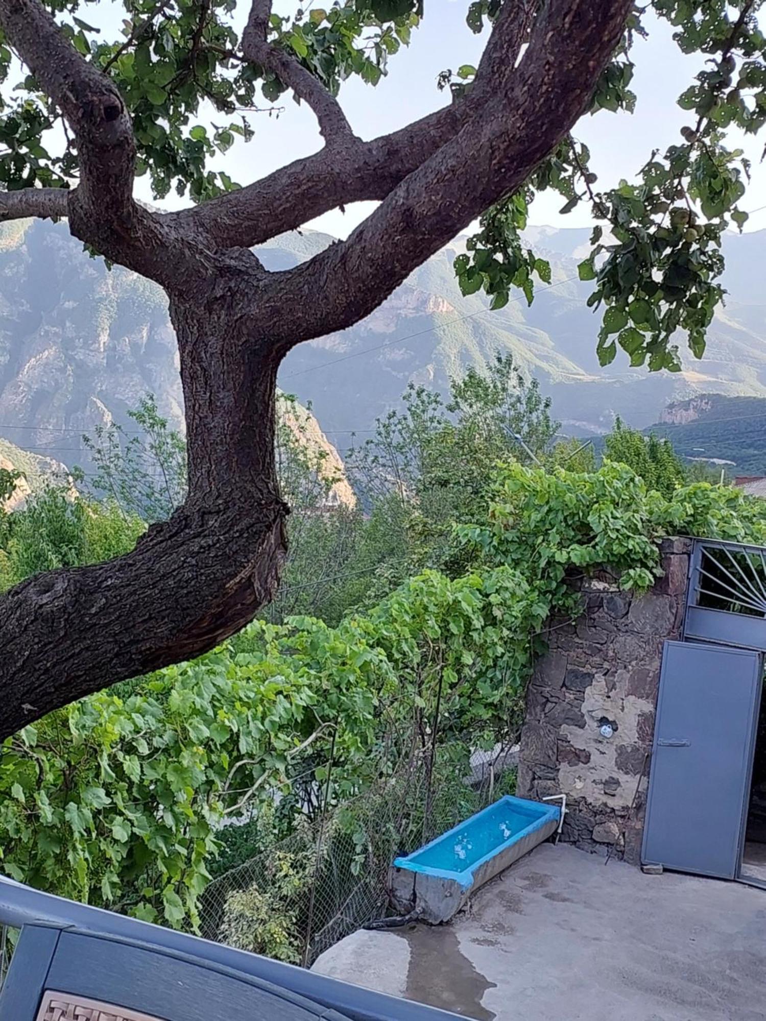 Halidzor Igor Bed And Breakfast מראה חיצוני תמונה