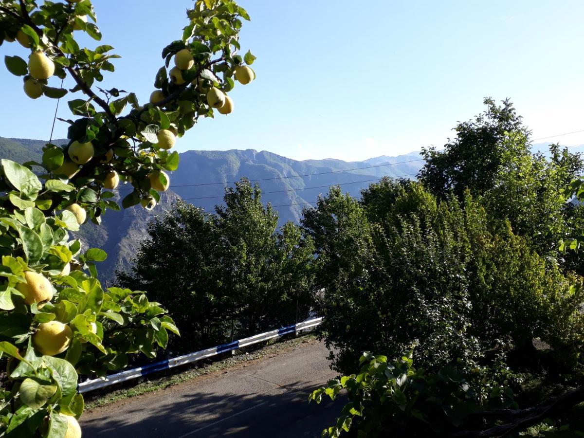 Halidzor Igor Bed And Breakfast מראה חיצוני תמונה